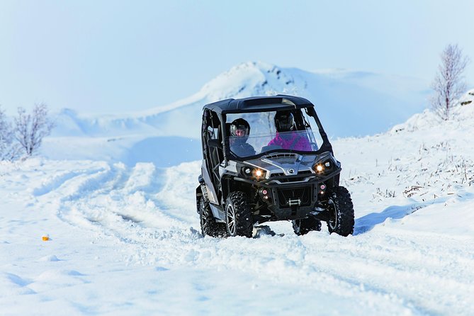 1 hour Buggy adventure - From Reykjavik - One hour across lava, mud, water, and snow