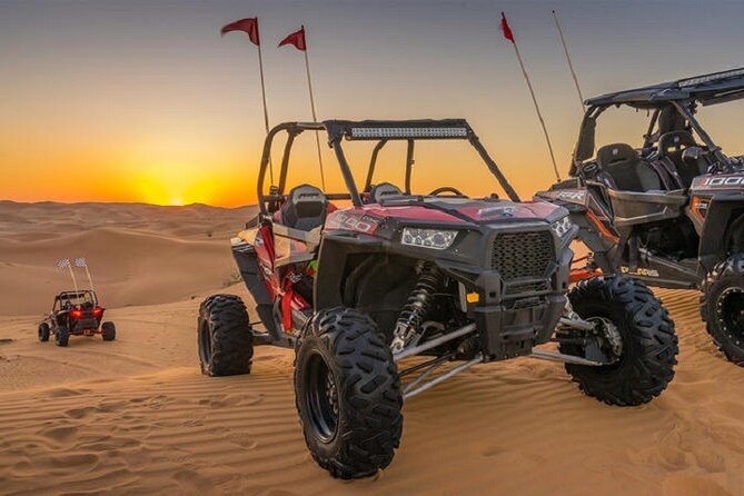 1-Hour Desert Buggy Self-Drive Adventure: Camel Ride & Sandboard - A camel ride for a slower desert moment