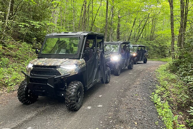 2.5-3 HR Guided Scenic UTV Adventure - Climbing from 3,000 to 6,000 feet