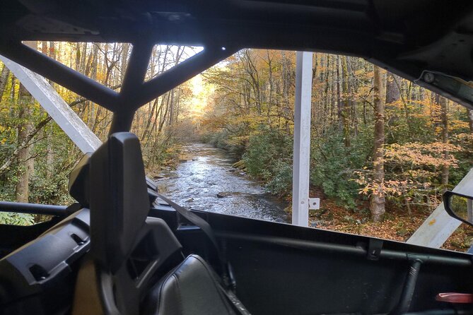 2.5-3 HR Guided Scenic UTV Adventure - Plants, animals, and details you could miss on foot