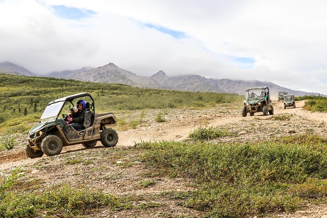 2.5-Hour Denali Wilderness ATV Adventure Tour - What this Denali ATV tour actually offers