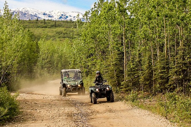 2.5-Hour Denali Wilderness ATV Adventure Tour - What the guides add to the ride