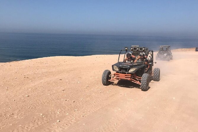 2 H Buggy Adventure in Agadir - Argan Trees and the Agricultural Side of Agadir