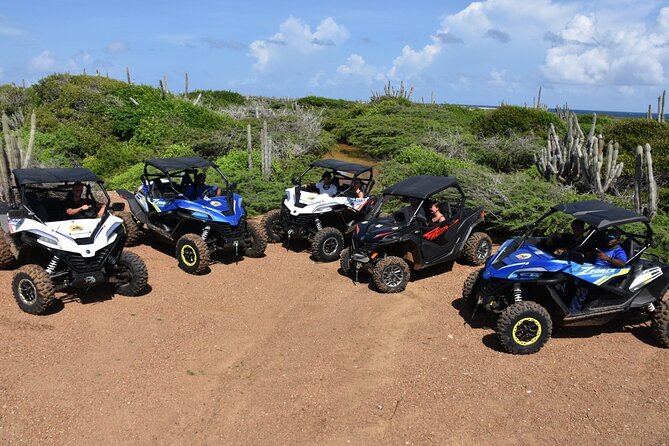 2-Hour Buggy Adventure Tour in Curacao - What makes this Curaçao UTV ride worth considering