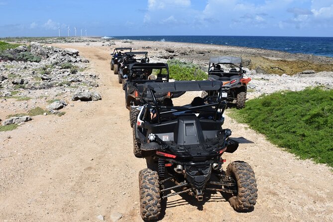 2-Hour Buggy Adventure Tour in Curacao - What the guide adds to the experience