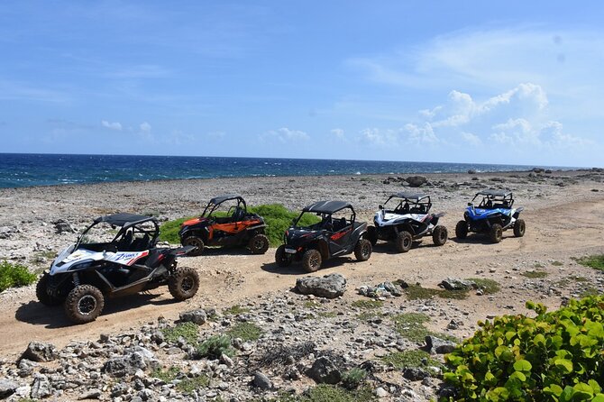 2-Hour Buggy Adventure Tour in Curacao - Dust, clothing, and physical demands