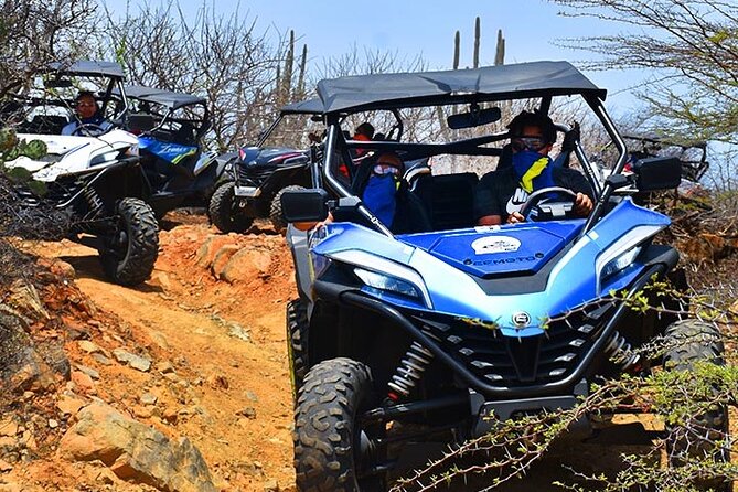 2-Hour Buggy Adventure Tour in Curacao - The first 50 minutes: sandy cactus country