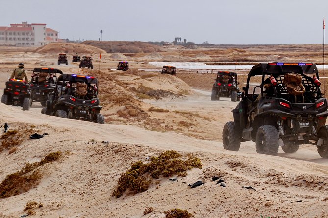 2h SSV Buggy Desert Adventure - 1000cc or 500cc - Kite Beach, wind, and nesting turtles