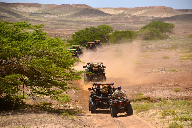 2h SSV Buggy Desert Adventure - 1000cc or 500cc - What the guides and equipment add