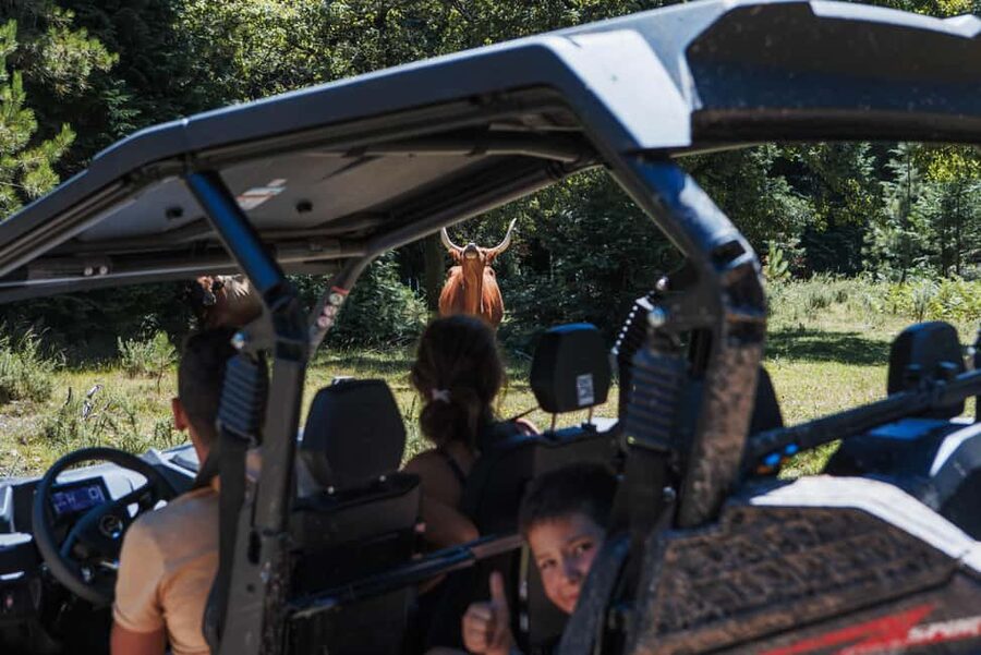 3.5h Buggy Tour • Arcos de Valdevez • Peneda Gerês - What makes this buggy ride worth considering