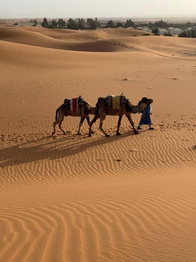 3-Day luxury Adventure: Marrakech to Merzouga incl.Quad/show - Day 3: Rissani, the long return to Marrakech, and the real cost of distance