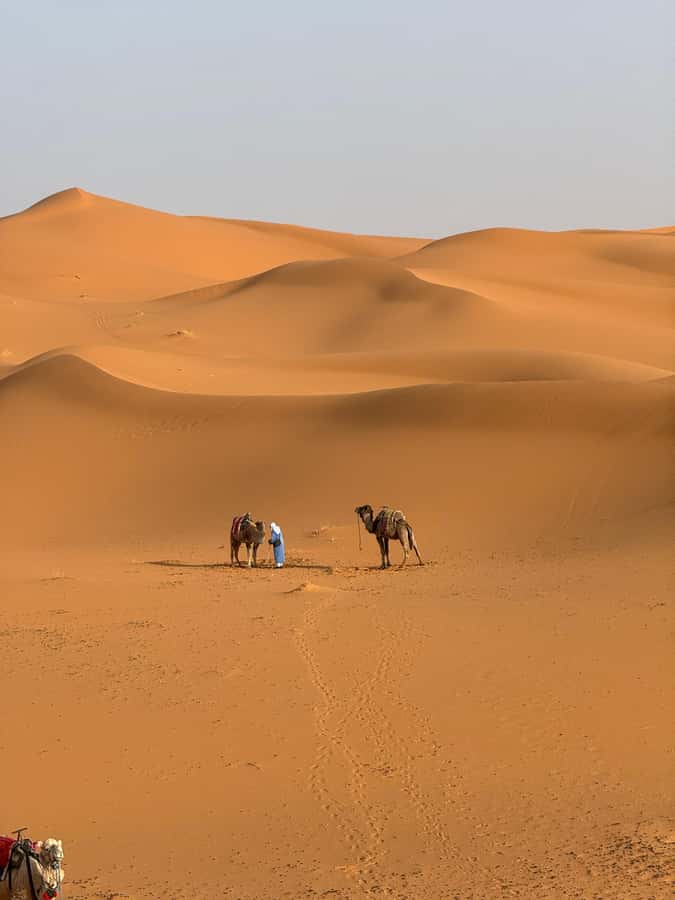 3-Day luxury Adventure: Marrakech to Merzouga incl.Quad/show - Day 1: Tizi n Tichka, Ait Ben Haddou, and the Dades Valley
