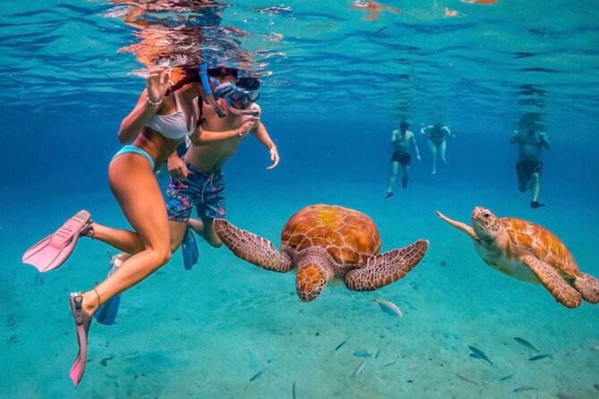 3-Hour ATV Can-Am Adventure Tour in Willemstad, Curaçao - Playa Grandi brings the day’s main wildlife moment