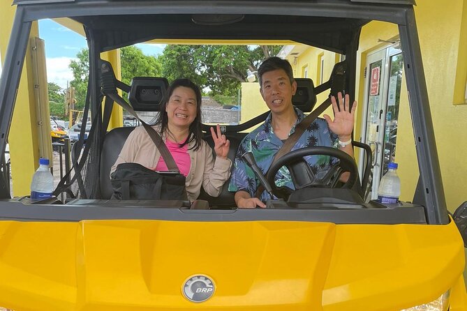 3-Hour Buggy Tour of New Providence (Inclusive of water & local deserts) - Price, group size, and practical value