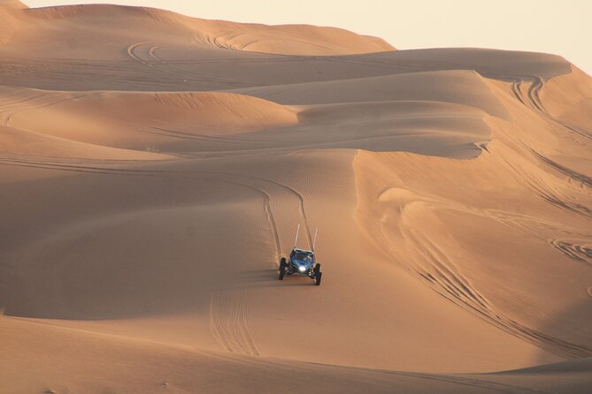 3000cc Dune Buggy & Sandboarding - Private Experience - Who will enjoy this desert adventure most
