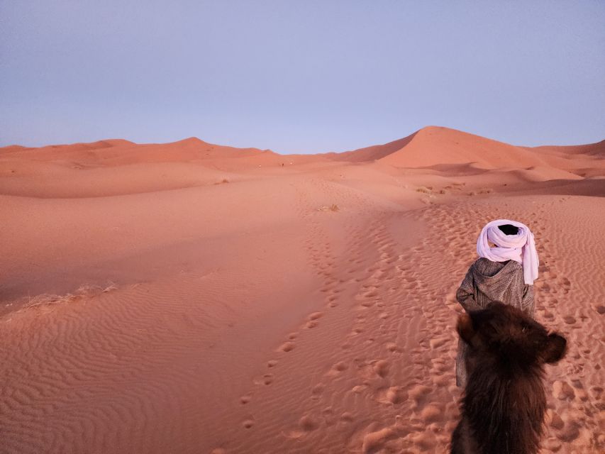3D Deluxe Experience: Marrakech to Merzouga w/ Quad Option - Should you book the Marrakech to Merzouga tour?