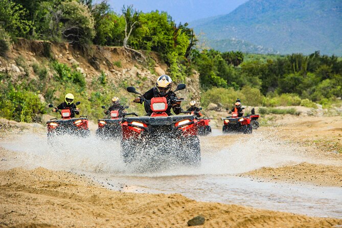4x4 ATV Adventure with Tequila Tasting and Mexican Buffet Lunch - Quick points to know