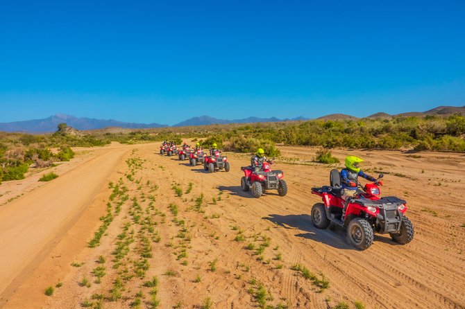 4x4 ATV Adventure with Tequila Tasting and Mexican Buffet Lunch - What the tequila and mezcal tasting really means