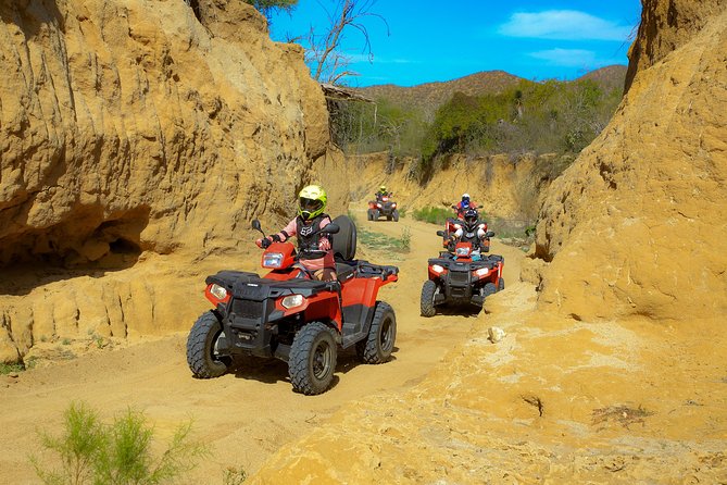 4x4 ATV Adventure with Tequila Tasting and Mexican Buffet Lunch - Is the $75 price a good deal?