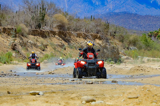 4x4 ATV Adventure with Tequila Tasting and Mexican Buffet Lunch - Who should book this Baja outing?
