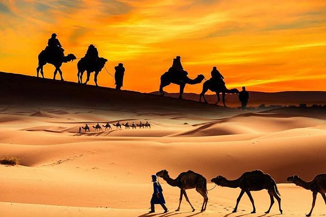 4x4 ATV Quad Biking Dubai Desert Tour - 1 Hour Experience - What to wear and bring