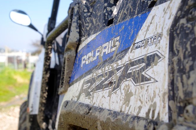 4x4 Buggy Adventures - Off-road Polaris Experience - The farm stop with honey, fruit, and donkeys