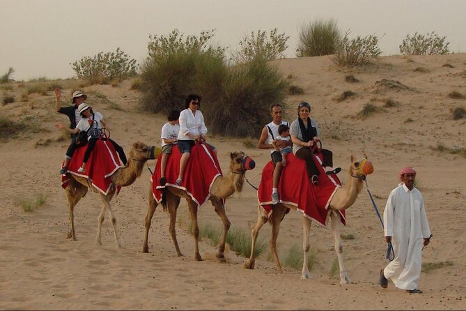 4x4 Self-Drive Quad Bike Safari with Camel Riding - Camel riding needs a direct confirmation