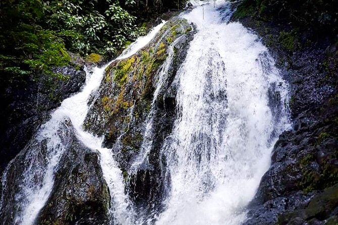 5 Hour Off-Road ATV+ Zipline+ Waterfall Rappelling+ Tractor Jungle Tour - A 2,000-meter zipline through the trees