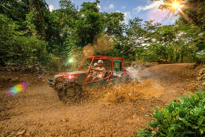 7 Tours Punta Cana: Zipline, Chairlift, ATV, Ride Horses, & More! - The essential facts before you book