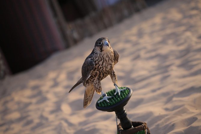 Abu Dhabi Desert Safari (Dune Bashing, BBQ Dinner, Camel Ride & Sand Skii) - Dune bashing over the Abu Dhabi dunes