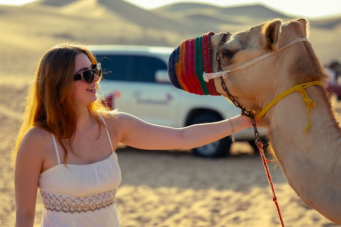 Abu Dhabi Evening Desert Safari - Private car Dune bashing & BBQ - Sunset stops and the photography advantage
