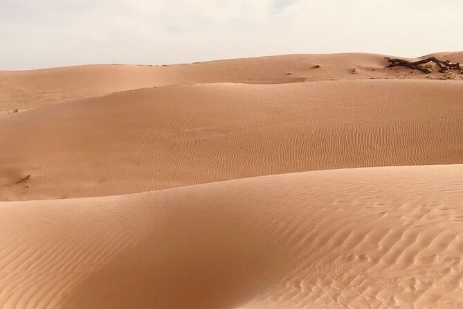Abu Dhabi Morning Desert Safari,Dune Bashing,Sandboarding,Camel Riding&Quad Bike - What to bring and how to prepare