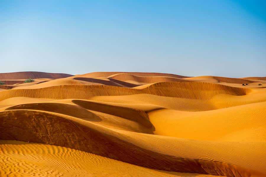 Abu Dhabi Traditional Desert Camp Experience And Quad Bike - From Abu Dhabi streets to open sand