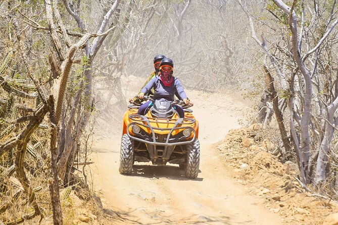 Adventure in Los Cabos Margaritas beach in ATV/UTV desert tour - Is $91.50 a fair price?