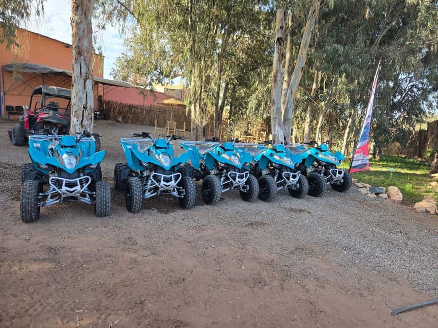 Agadir : 2 h Quad biking excursion with moroccan tea - Leaving Agadir for the Souss-Massa countryside