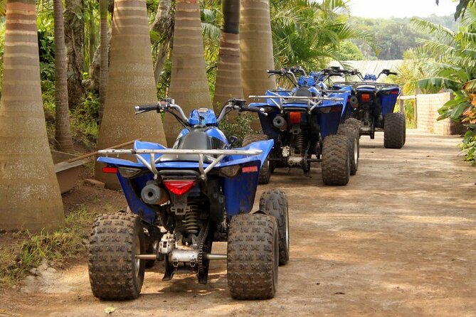 Agadir Adventure Tour with Quad Biking Experience - Who should book this Agadir quad tour?