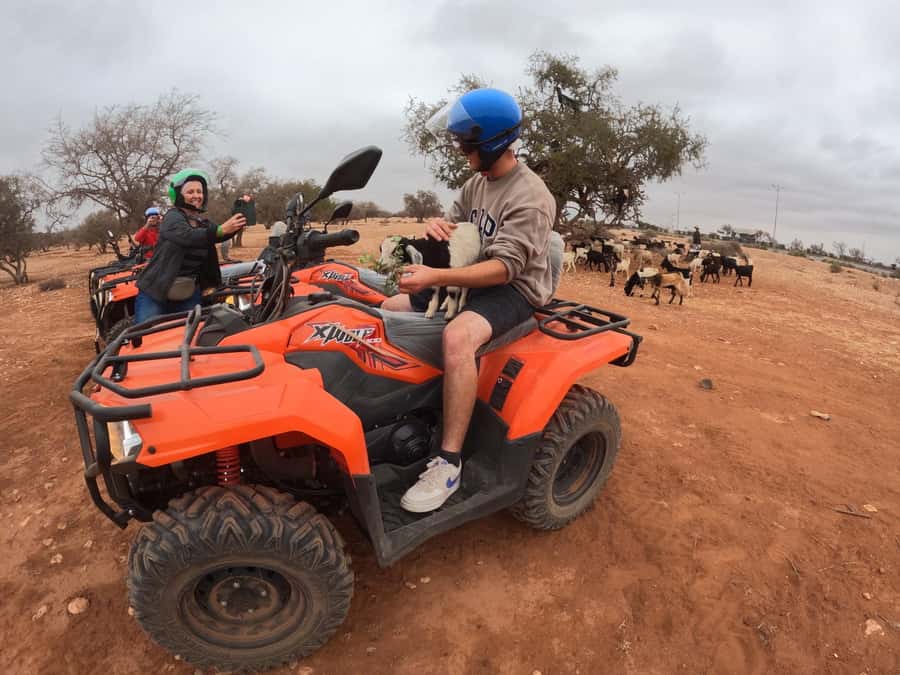 Agadir: Agafay Desert Quad Biking With Goats On The Tree - Two hours across rough desert trails