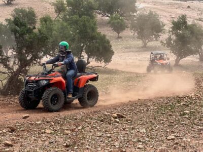 Agadir: Agafay Desert Quad Biking With Goats On The Tree