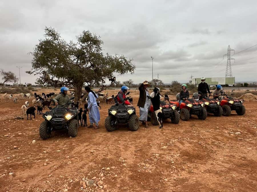 Agadir: ATV Quad Biking and Goats On Argan Trees with Tea - Sweet tea in a Berber tent