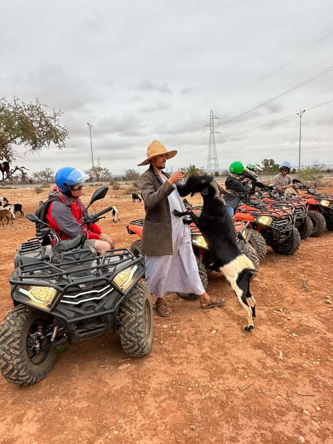 Agadir: ATV Quad Biking and Goats On Argan Trees with Tea - Who will enjoy this ride most