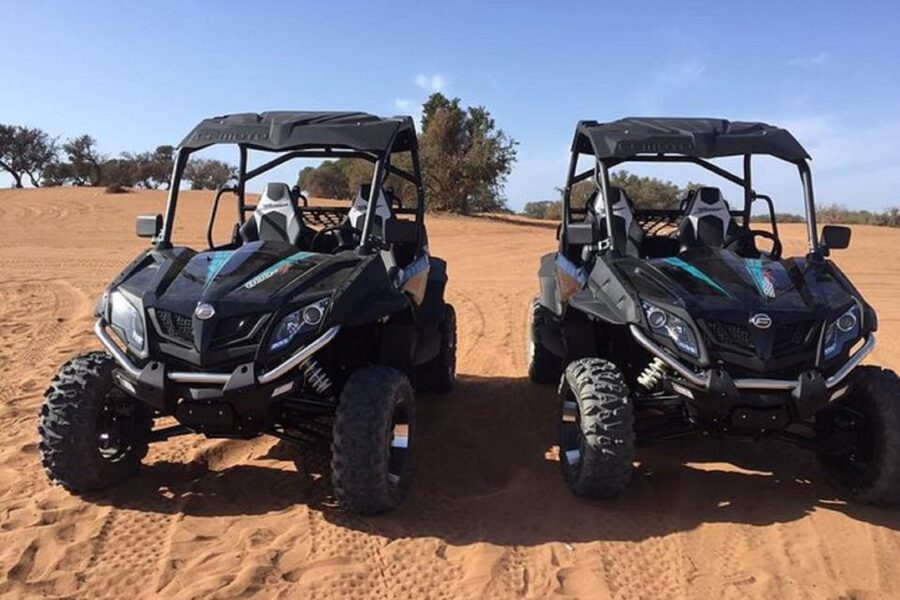 Agadir: Buggy Safari Adventure - Who will enjoy this Agadir buggy ride?