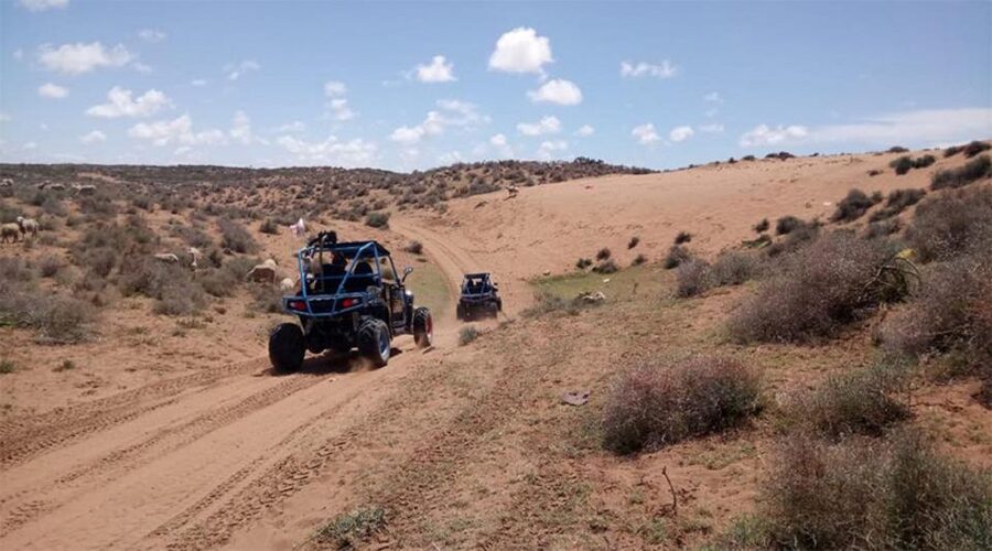 Agadir: Buggy Safari Adventure - Is $53 good value?