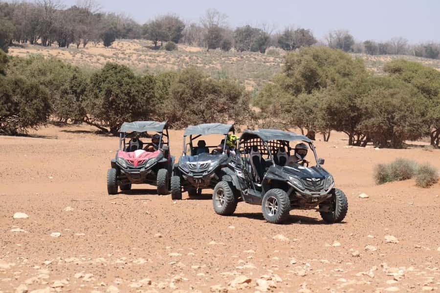 Agadir: Buggy Safari with Mint Tea & Free Agadir Pick-Up - From Agadir to Sidi Toual Beach