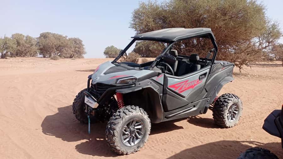 Agadir: Buggy Safari with Mint Tea & Free Agadir Pick-Up - Staff, languages, and group size