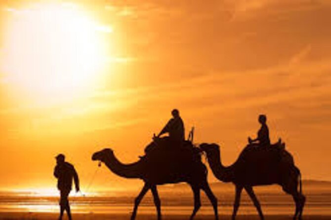 Agadir Dune Quad Bike and Sunset Camel ride Adventure - Why this Agadir combination works