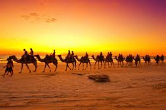 Agadir Dune Quad Bike and Sunset Camel ride Adventure - Riding camels toward Taghazout Beach