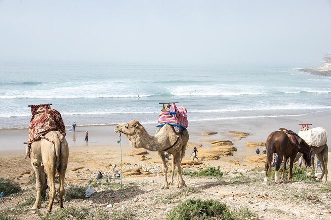 Agadir Dune Quad Bike and Sunset Camel ride Adventure - What the $31.37 price really buys