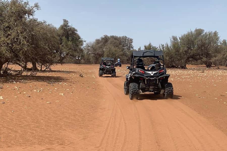 Agadir: Half-Day Desert Dunes Buggy Safari - My Verdict: Book It for Driving, Not Grand Desert Drama