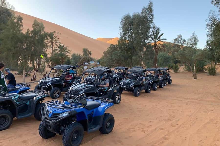 Agadir: Half-Day Desert Dunes Buggy Safari - The First 30 Minutes: Forest Tracks and Open Sand