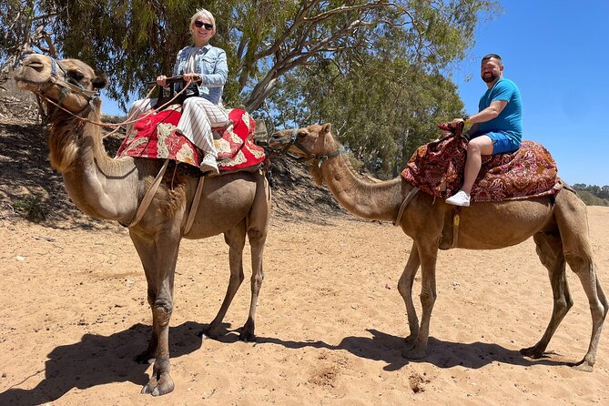 Agadir Quad ATV Adventure Tour with Berber Tea Experience - Practical advice for a smoother ride